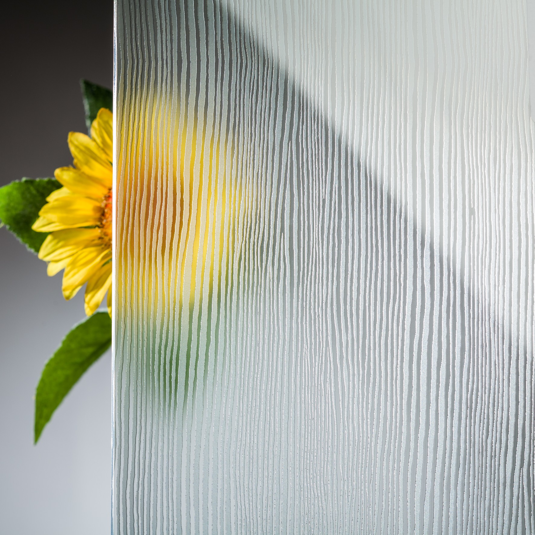 5 mm Designglas Wenge Mat Dobule Face