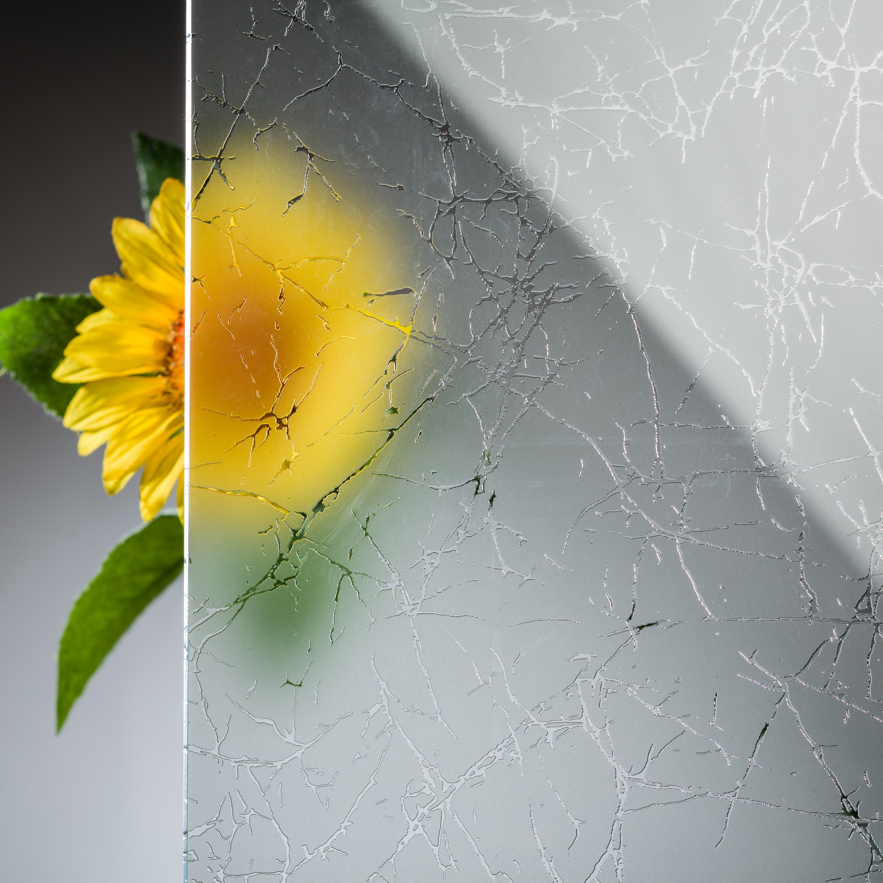 5 mm ESG Designglas Uadi